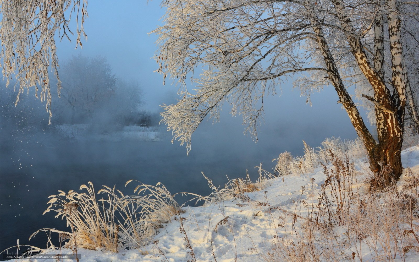Frosty river in winter mist