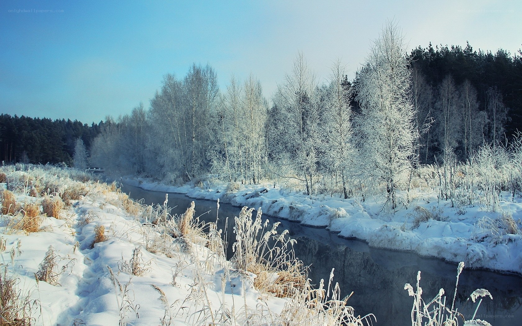Frosty river in winter