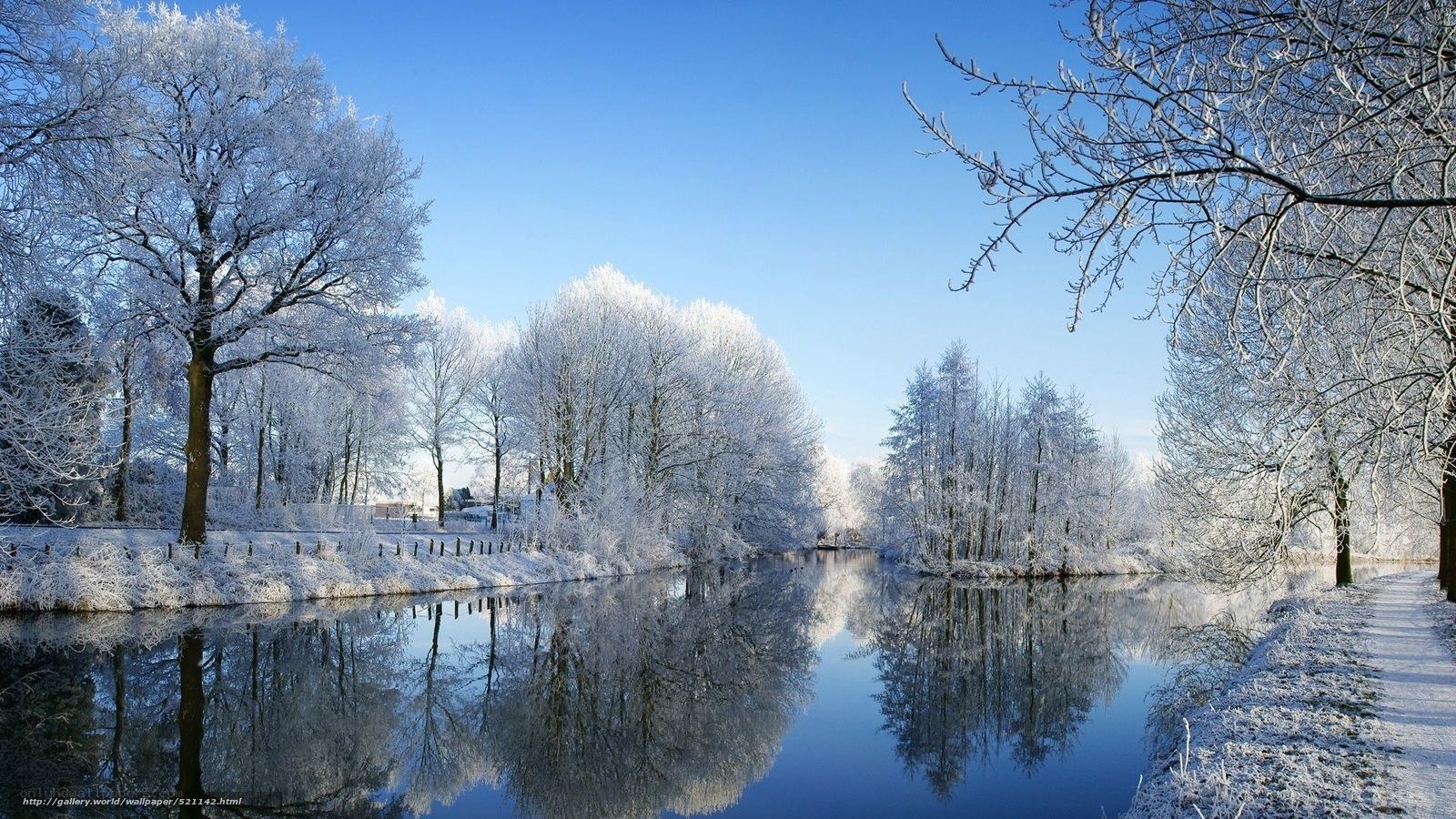frosty river landscape