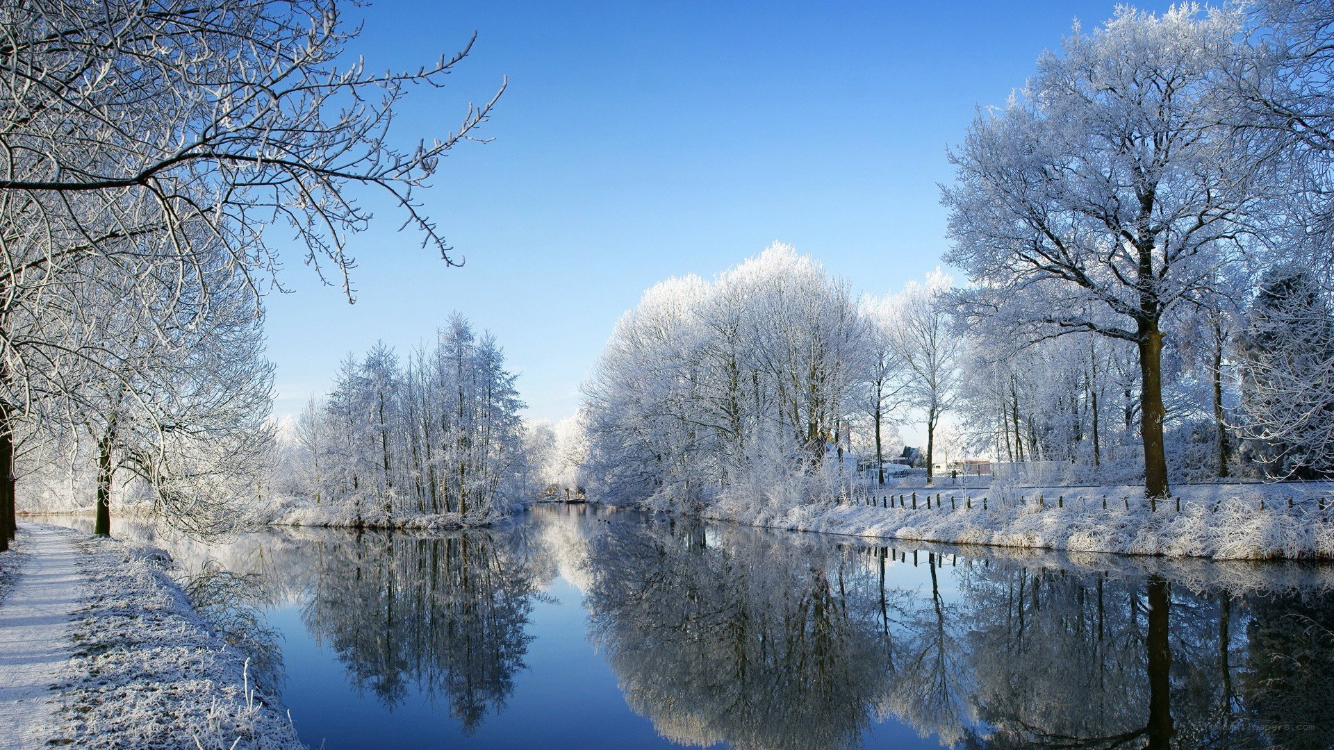frosty river landscape
