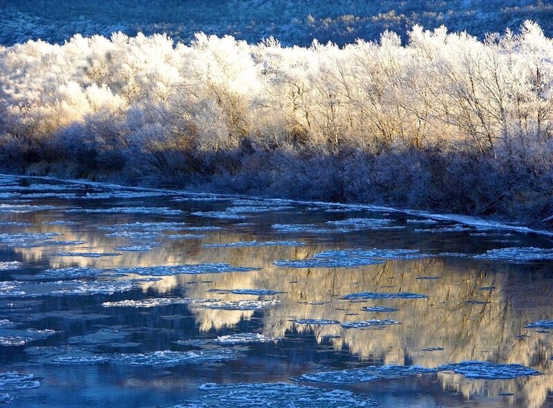 Frosty river landscape