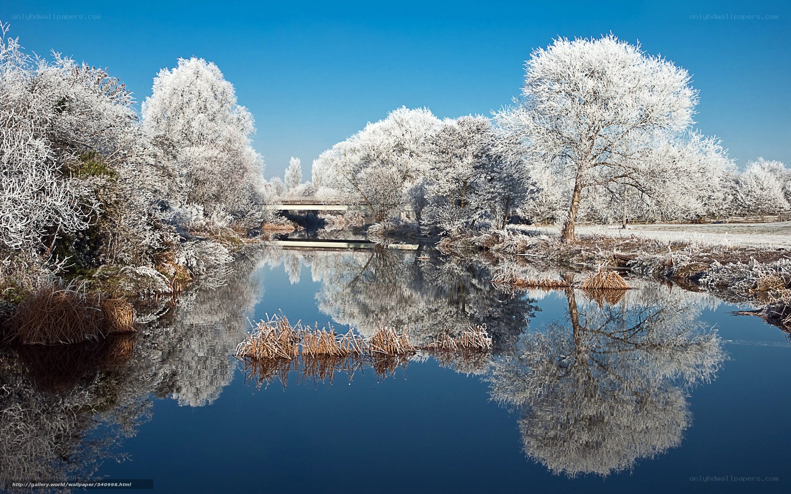 Frosty river landscape