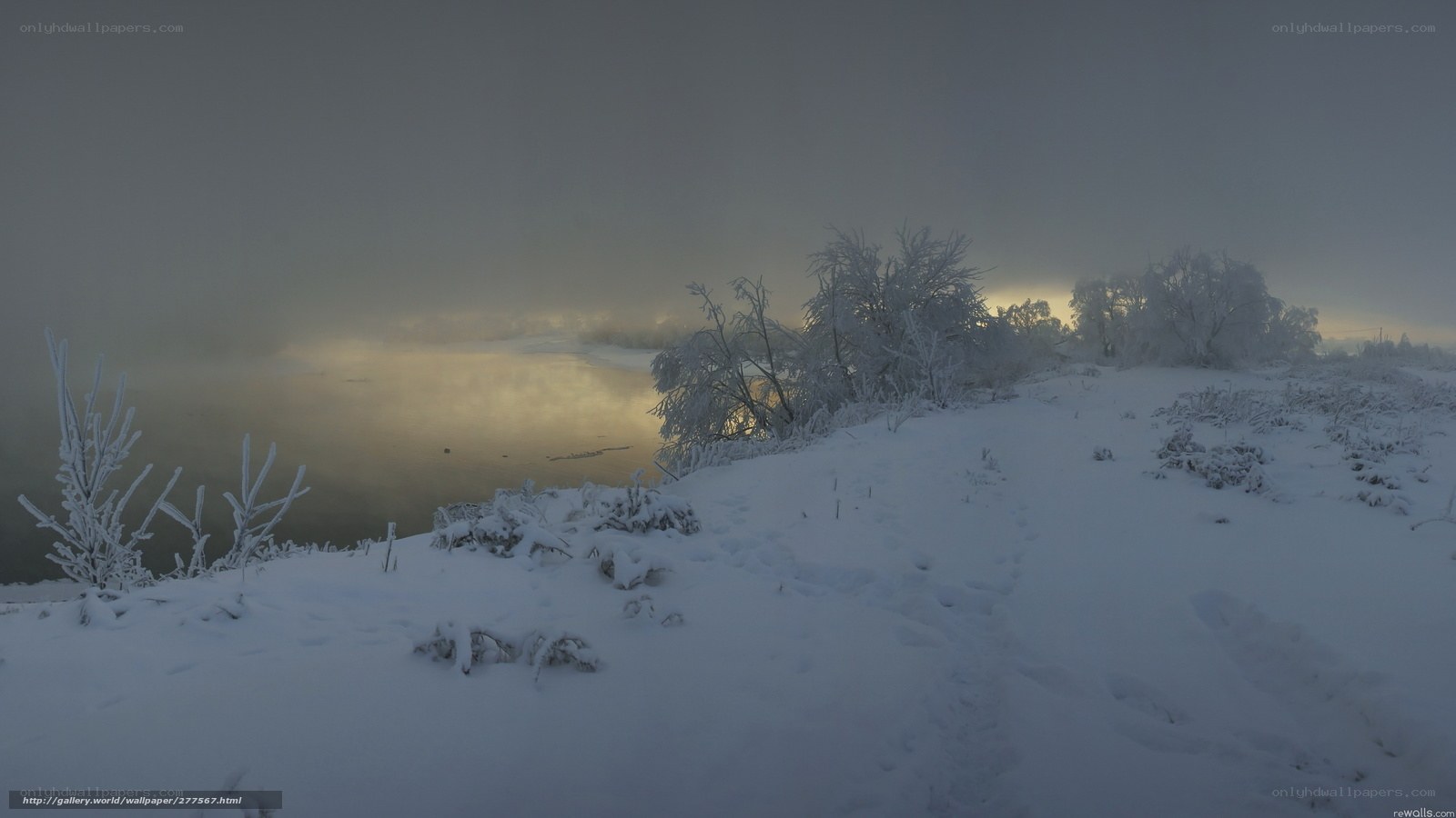 Frosty riverbank at dawn