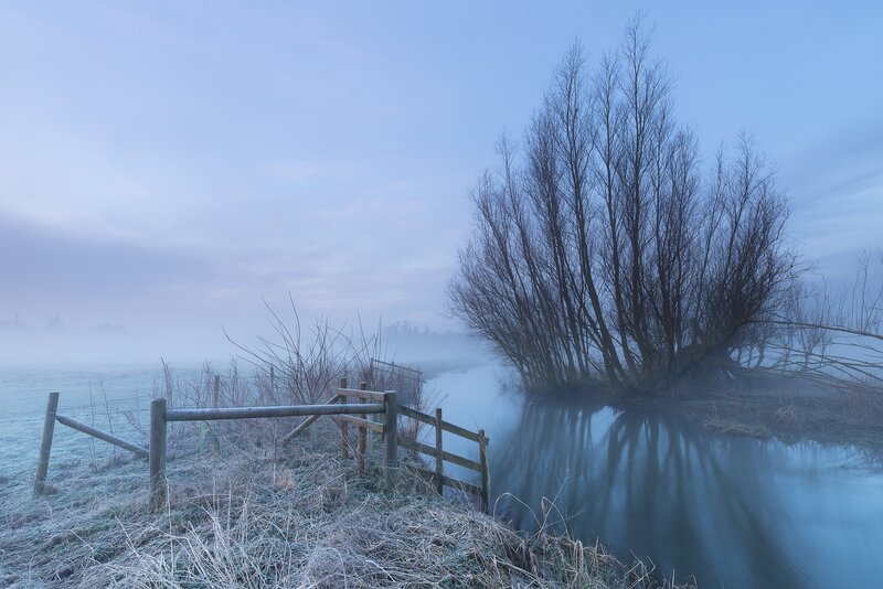 Frosty Riverbank