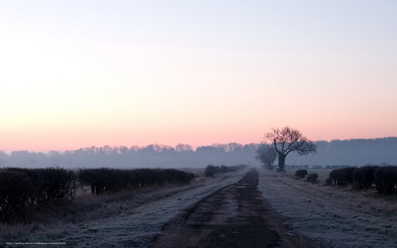 Frosty Road at Dawn