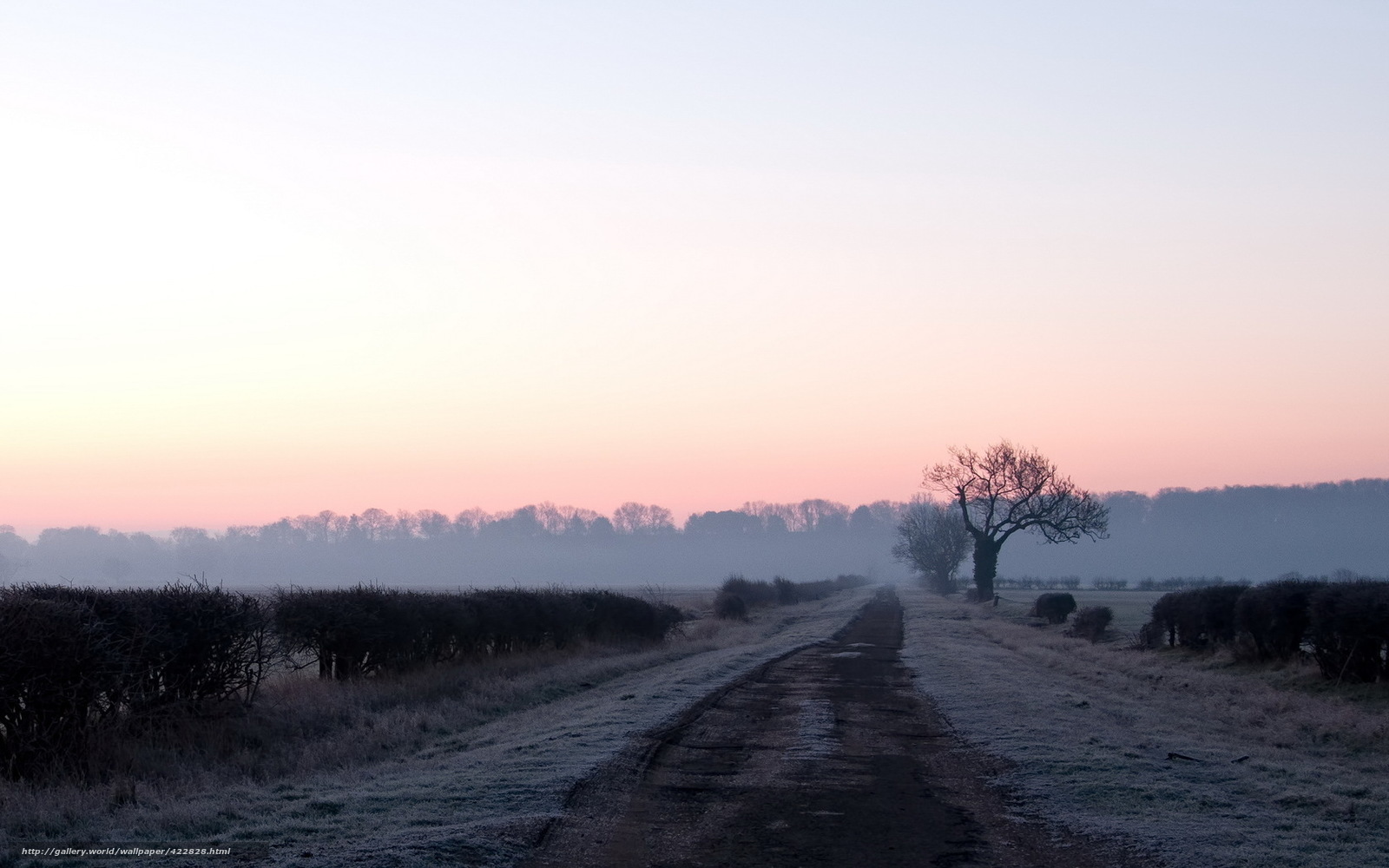Frosty Road at Dawn
