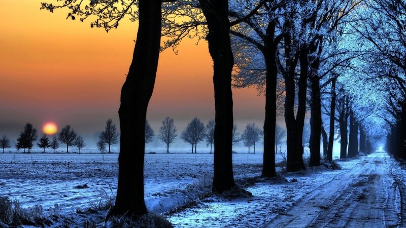 Frosty Road at Sunrise — Blue, Serene