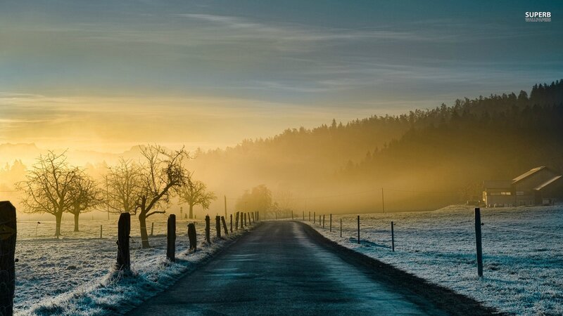 Frosty Road at Sunrise — Yellow, Serene