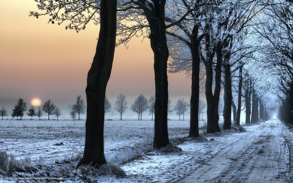 frosty road at sunrise