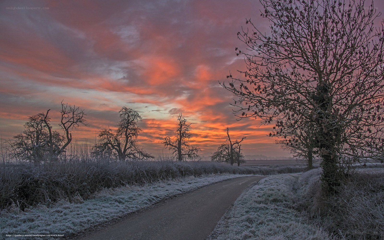 Frosty Road at Sunset