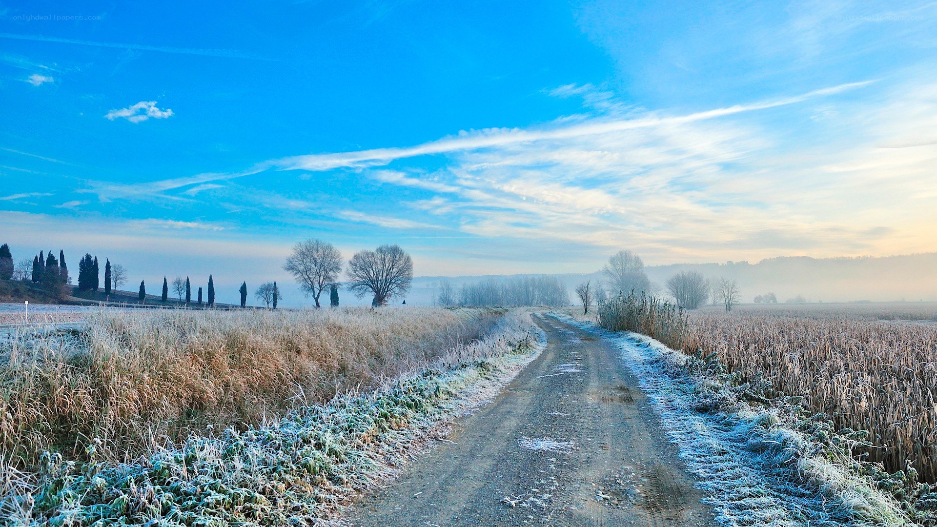 Frosty road in a winter landscape