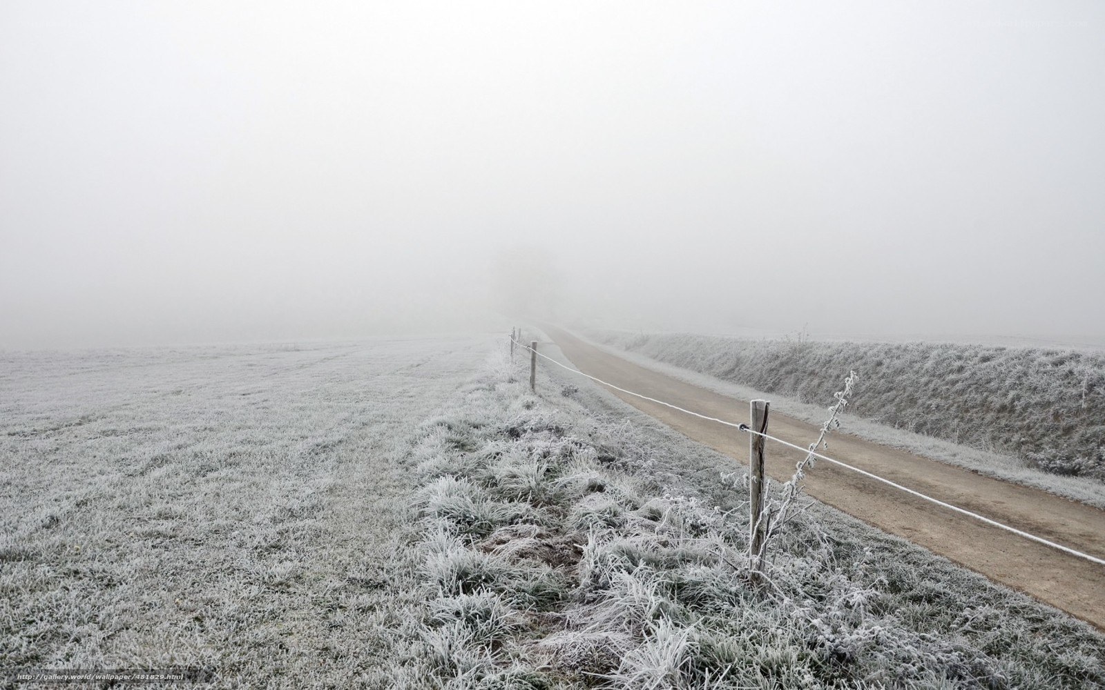 Frosty road in fog