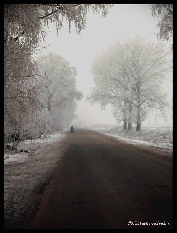 Frosty road in winter