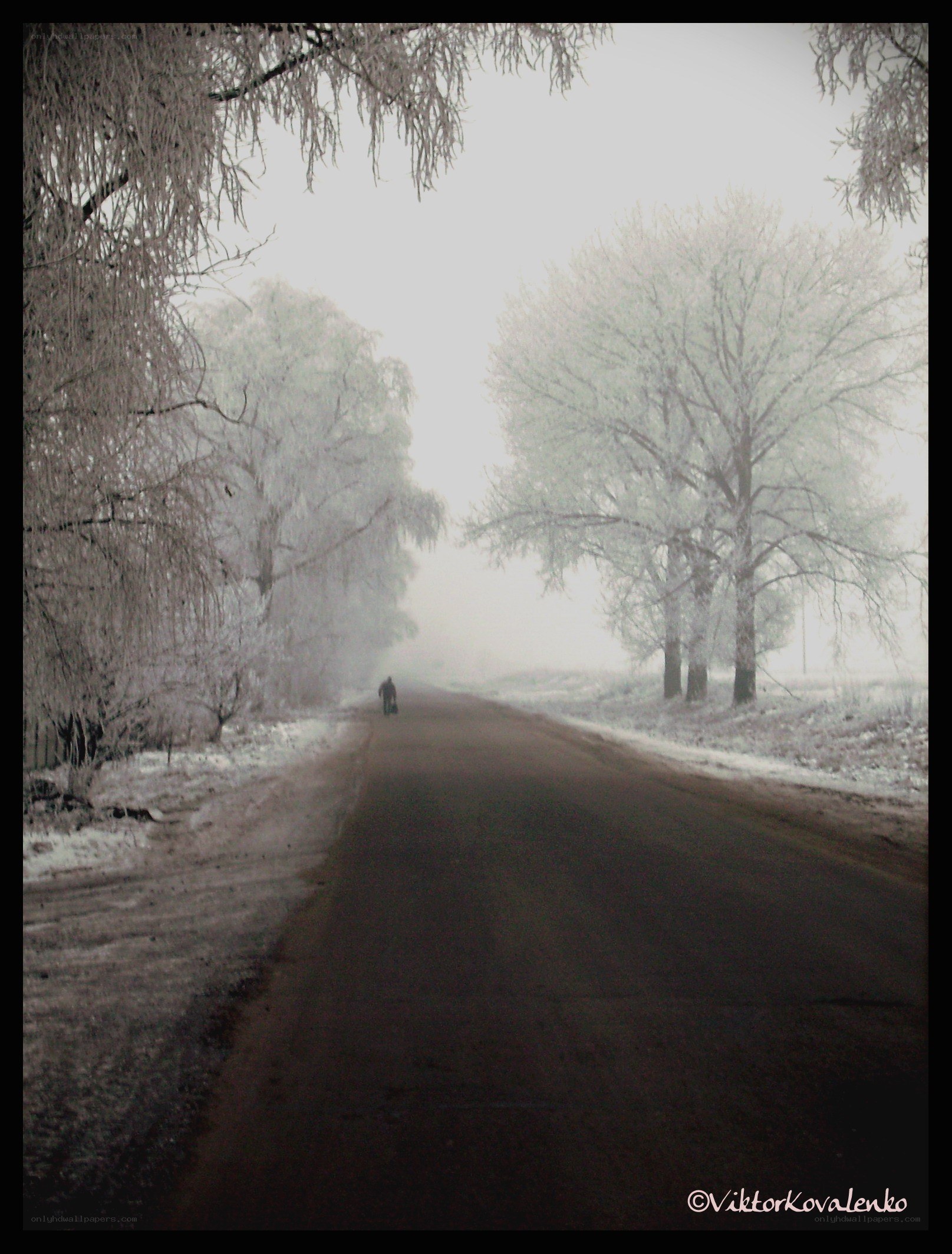 Frosty road in winter