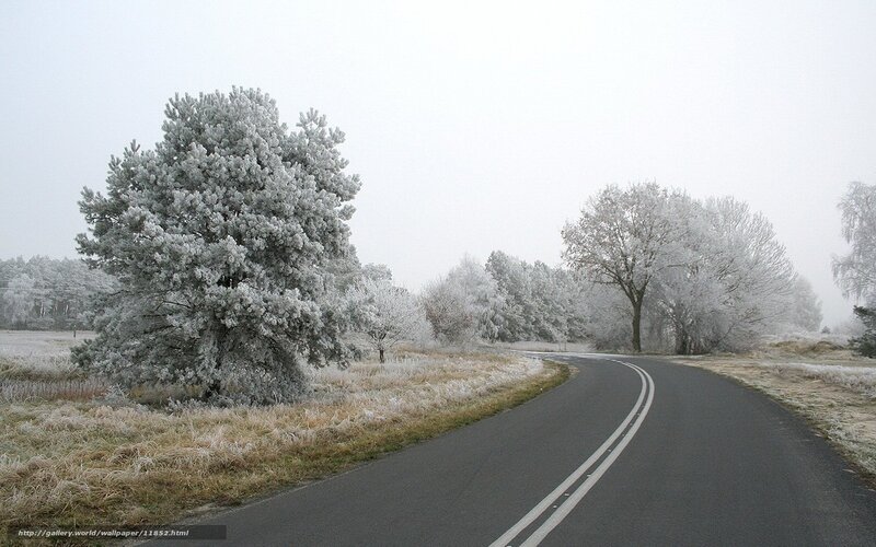 Frosty road in winter