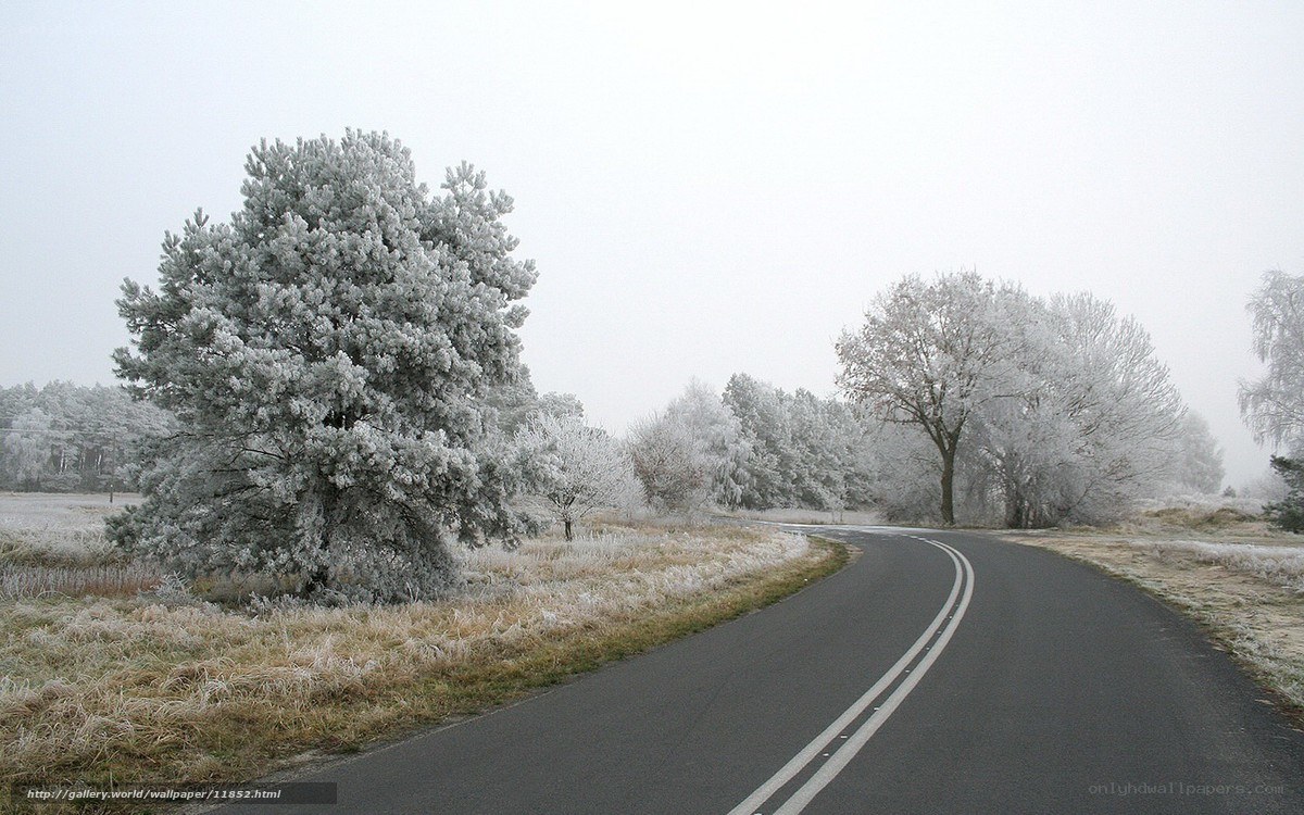 Frosty road in winter