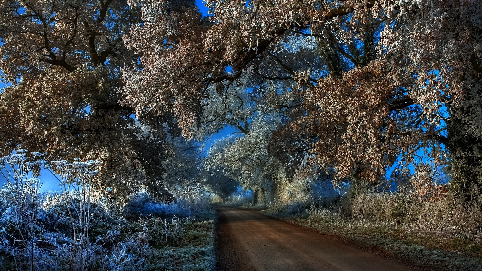 frosty road under blue sky