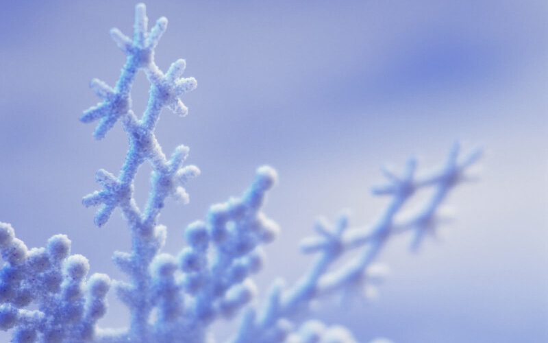 frosty snowflake branches