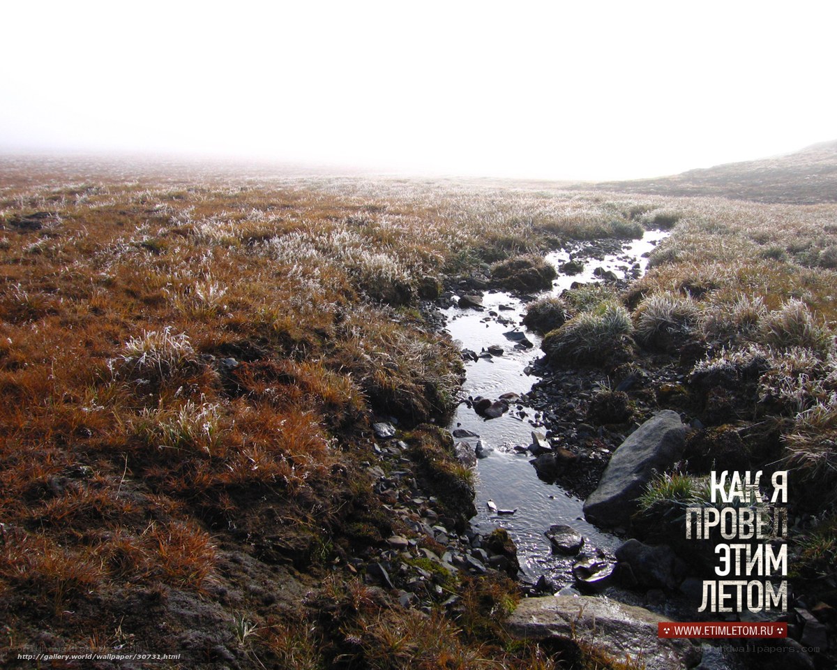 Frosty Stream in Fog