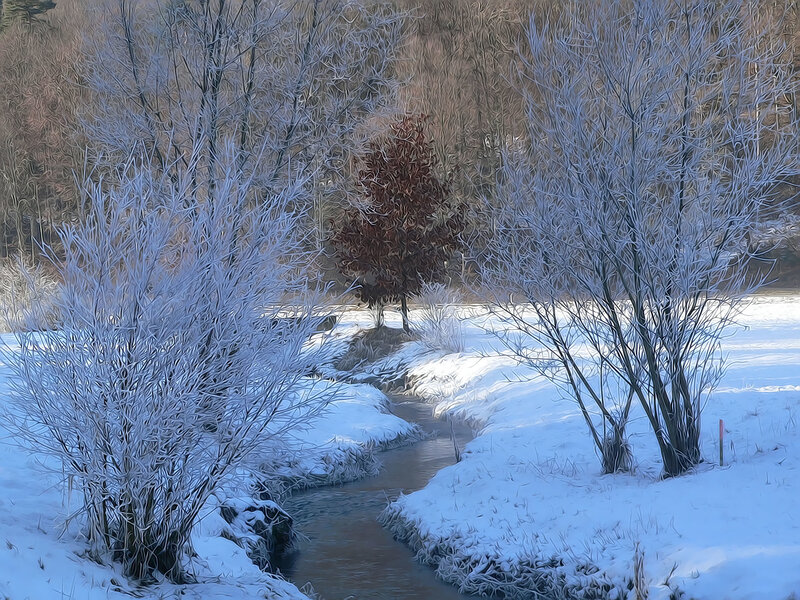 Frosty stream in winter