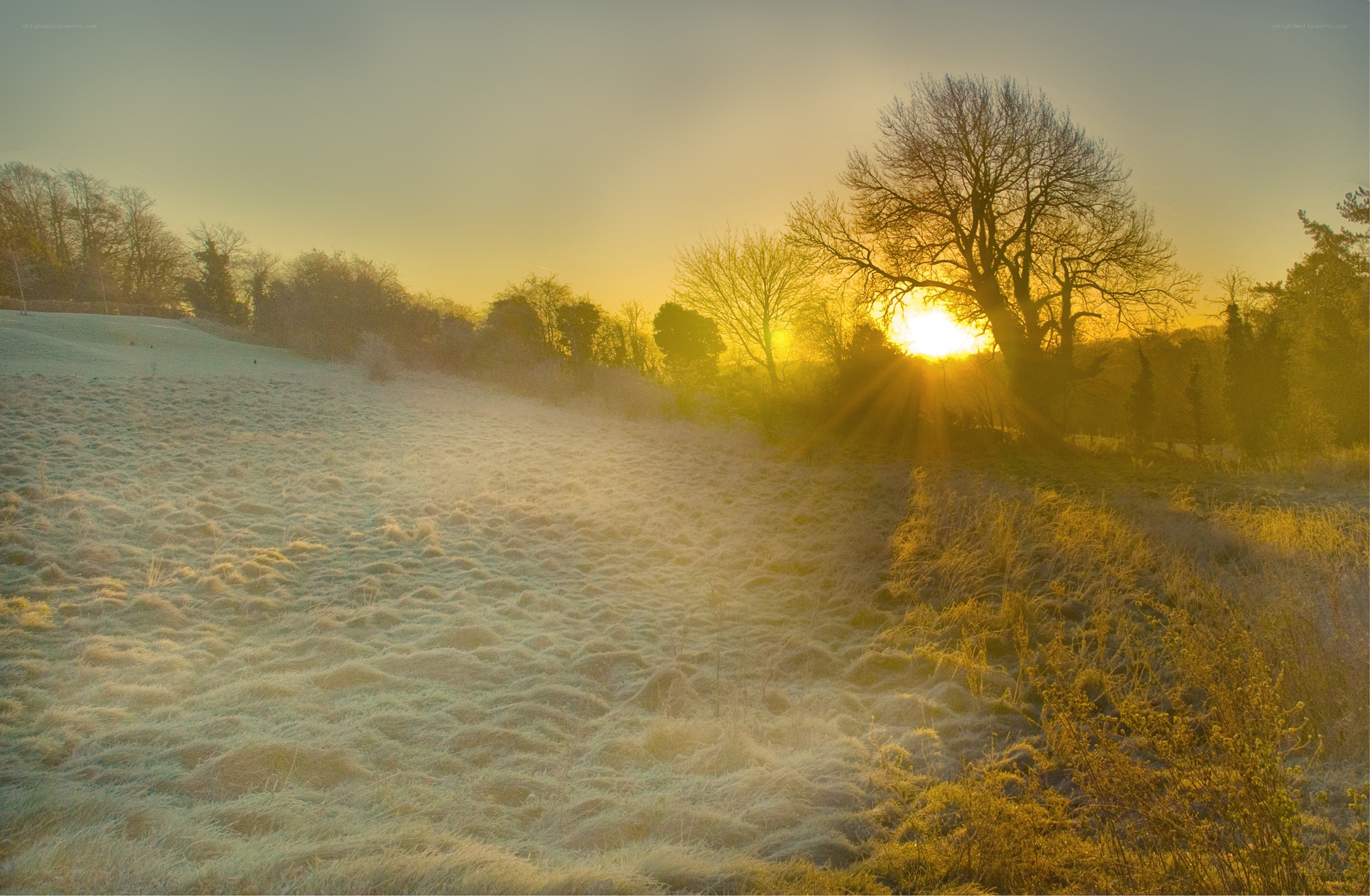 Frosty sunrise over a field