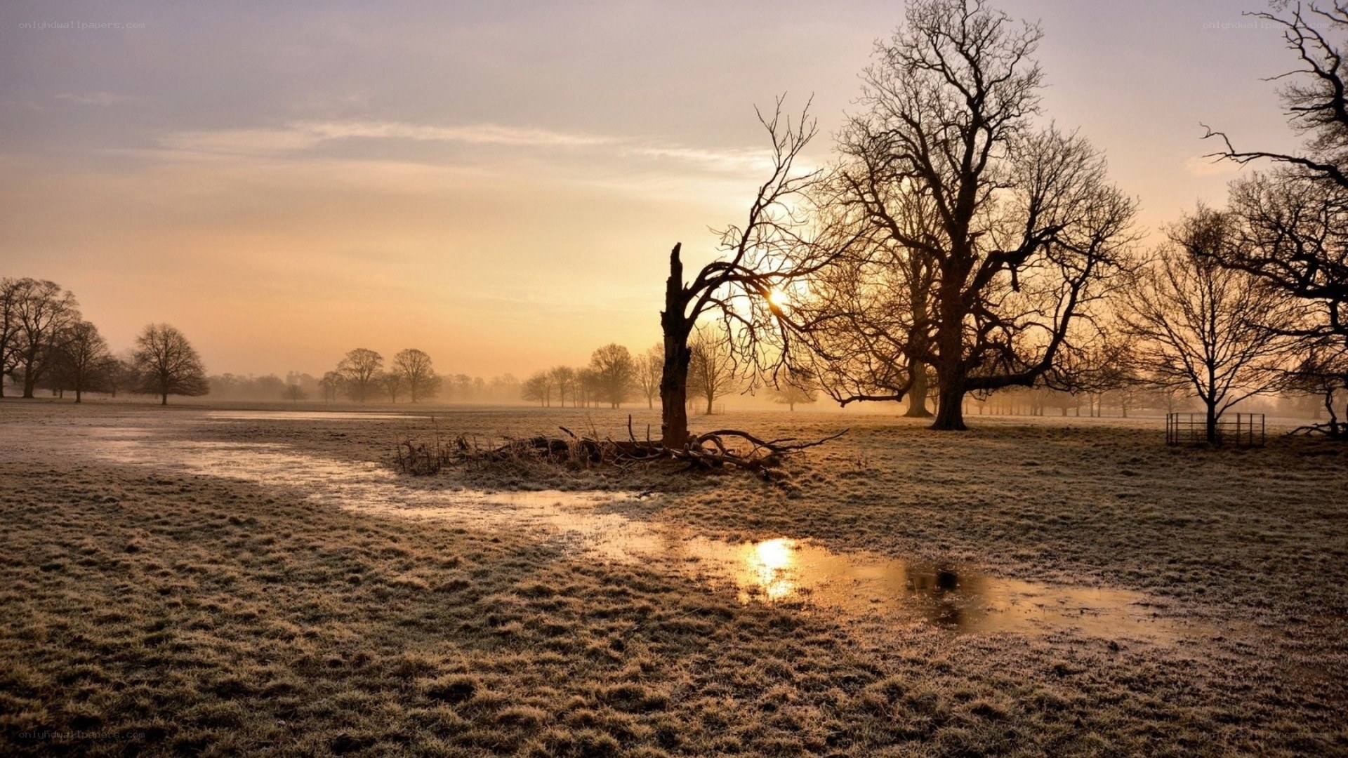 Frosty sunrise over a field