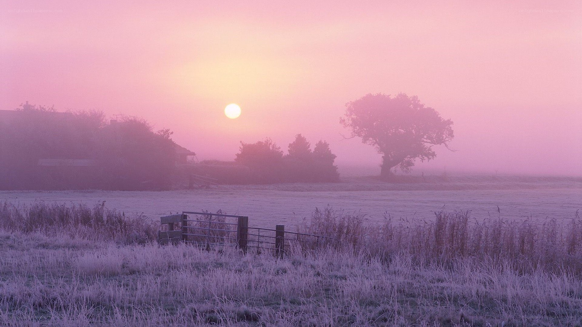 Frosty sunrise over a field