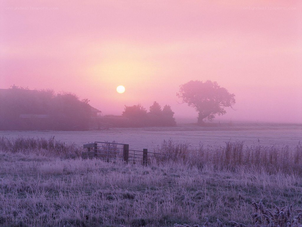 Frosty sunrise over a field
