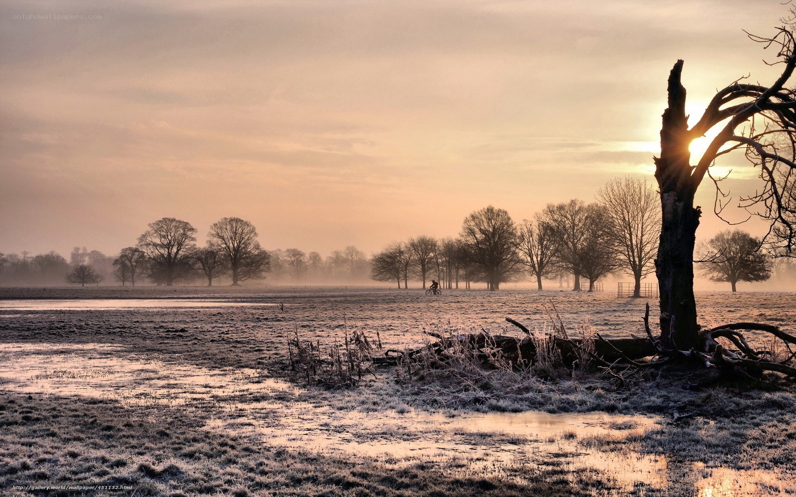 Frosty sunrise over a misty field