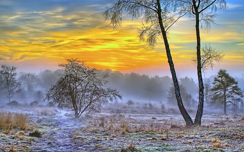 Frosty sunrise over a misty field
