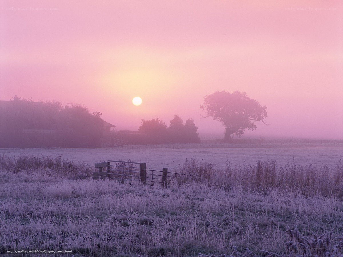 Frosty sunrise over a misty field
