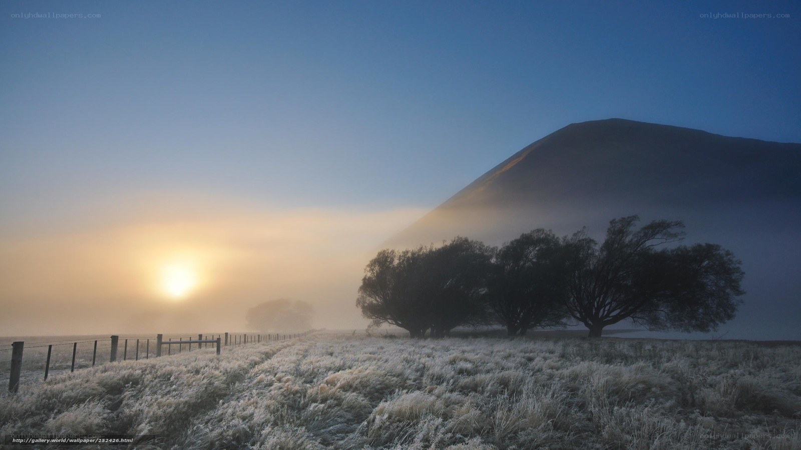 Frosty sunrise over a misty hill