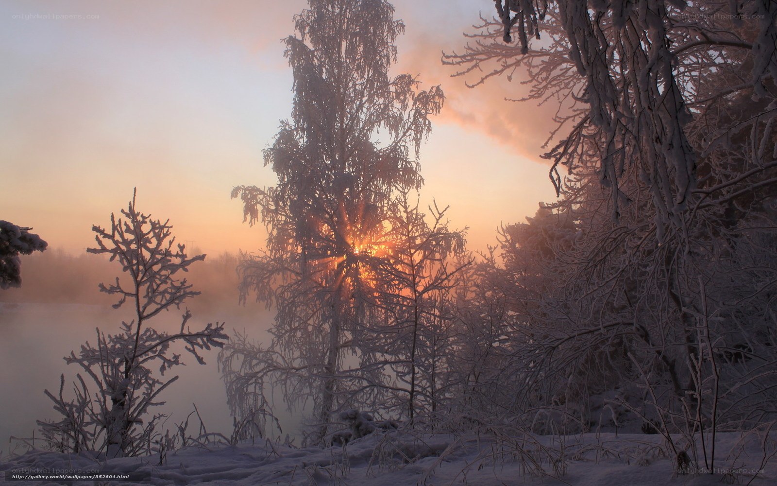 Frosty sunrise over a misty river