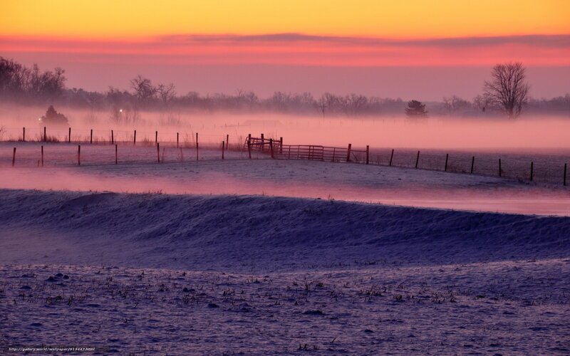 Frosty sunrise over a rural field