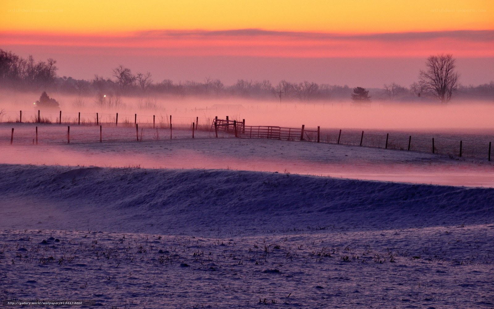 Frosty sunrise over a rural field