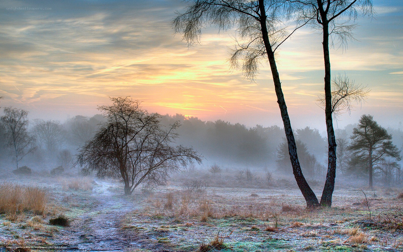 Frosty sunrise over misty field