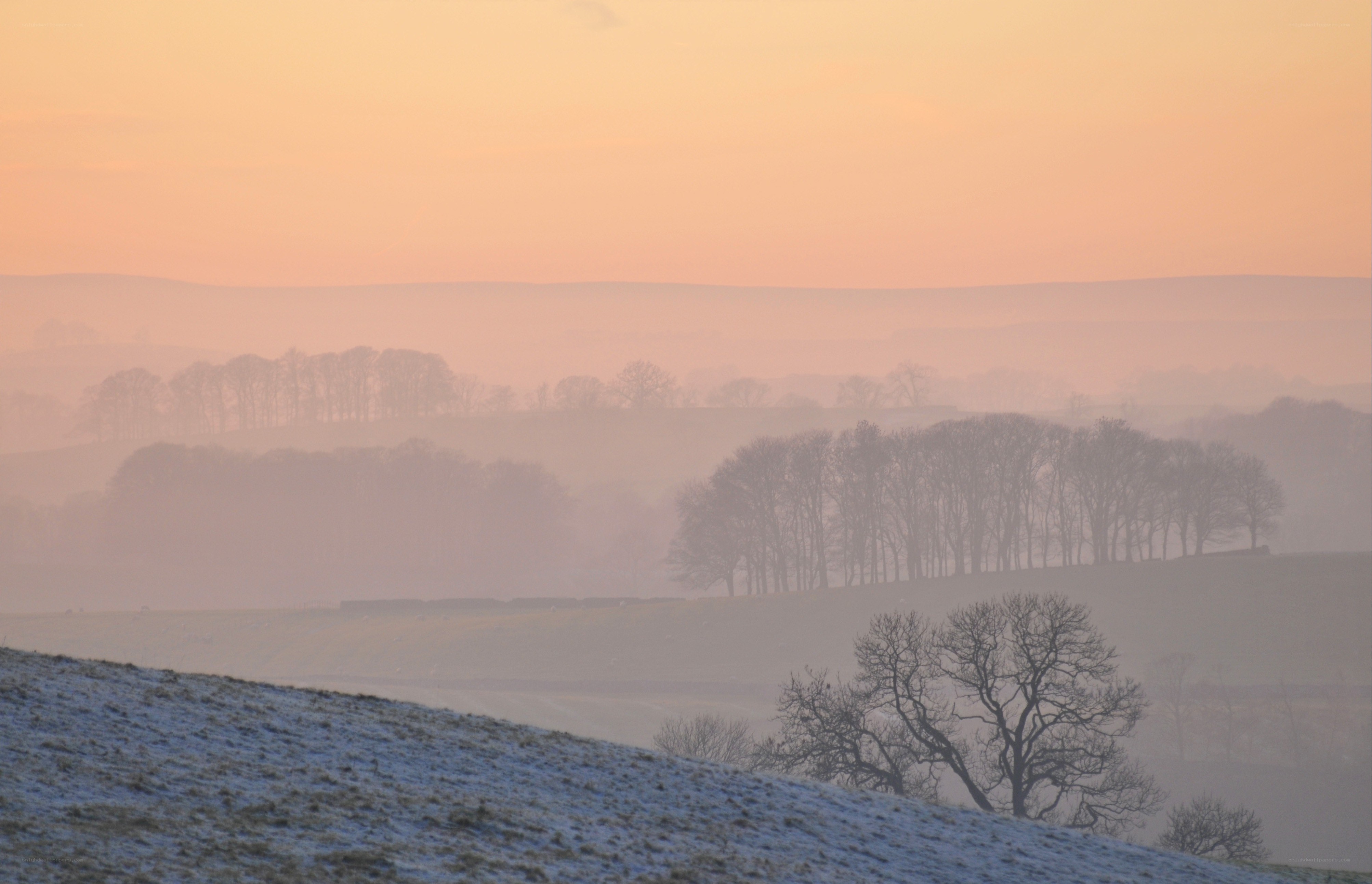 Frosty sunrise over rolling hills