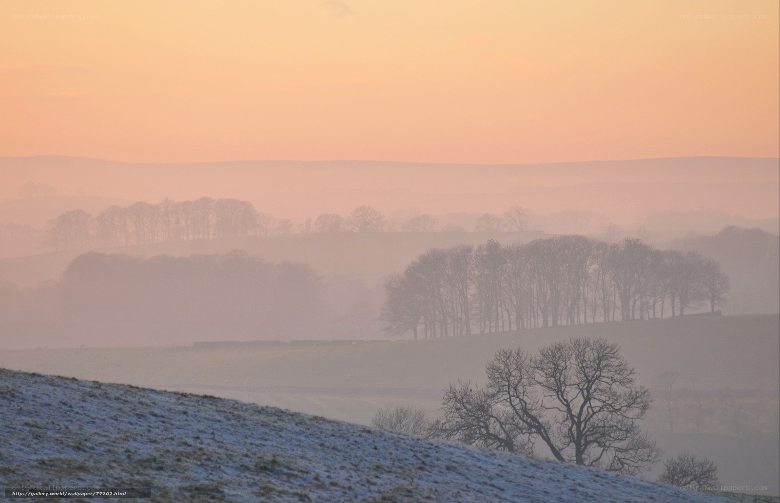 Frosty sunrise over rolling hills