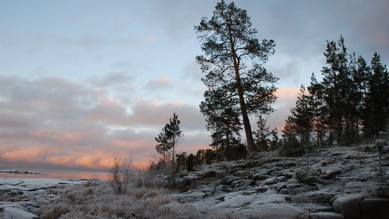 frosty sunset by the lake