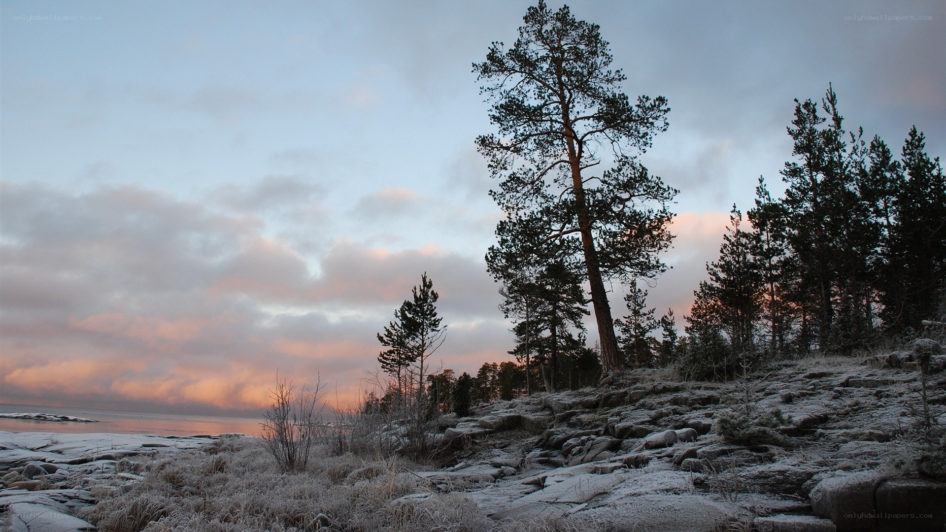 frosty sunset by the lake