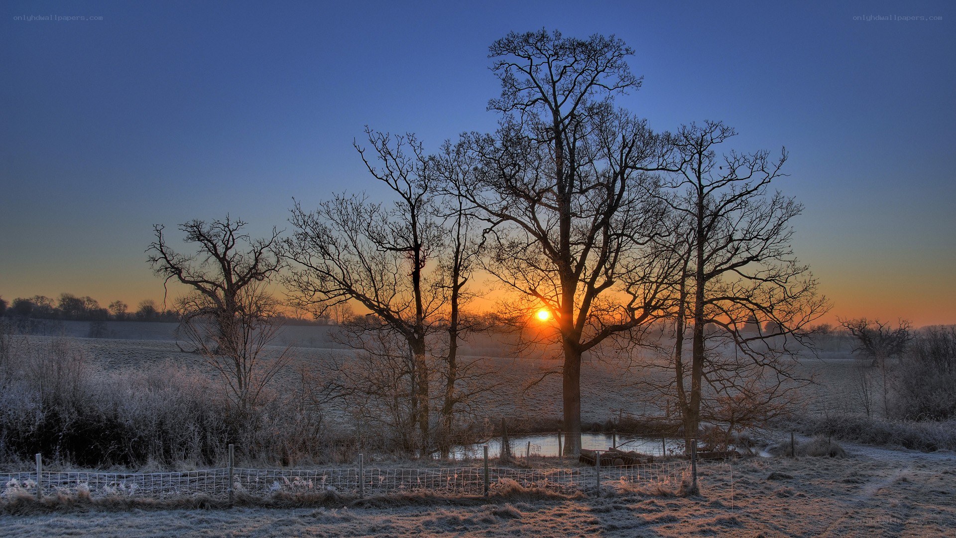 Frosty sunset over a rural field