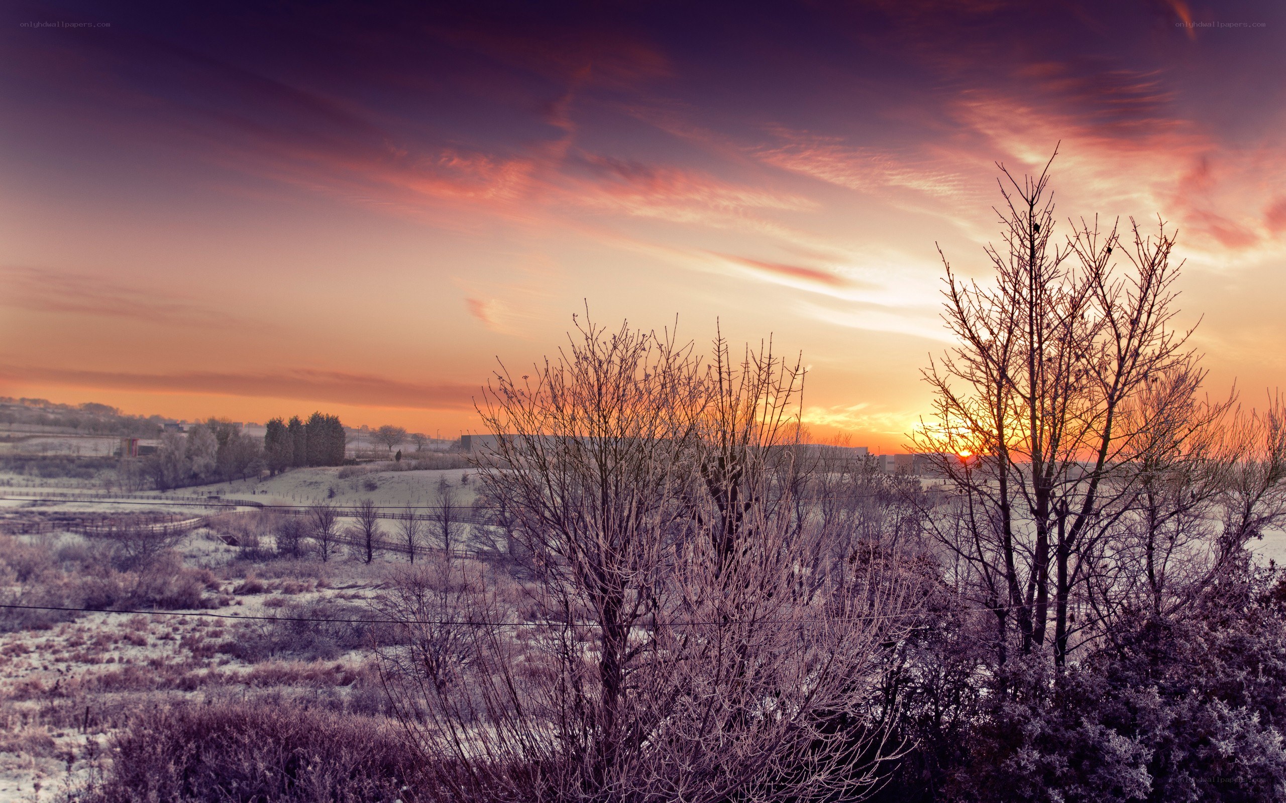 Frosty sunset over a winter landscape