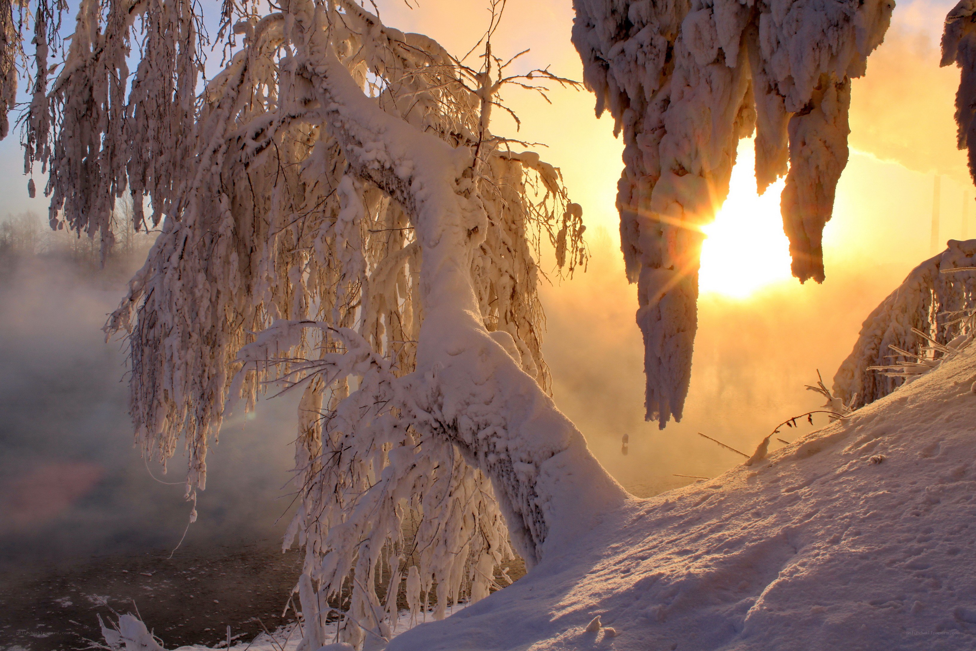Frosty trees at sunrise