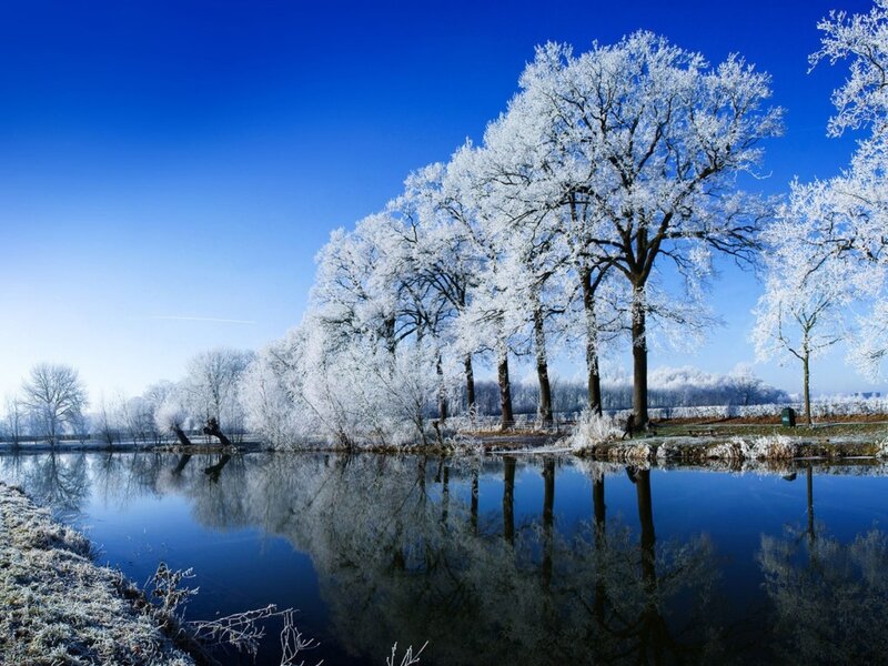 Frosty trees by a calm river