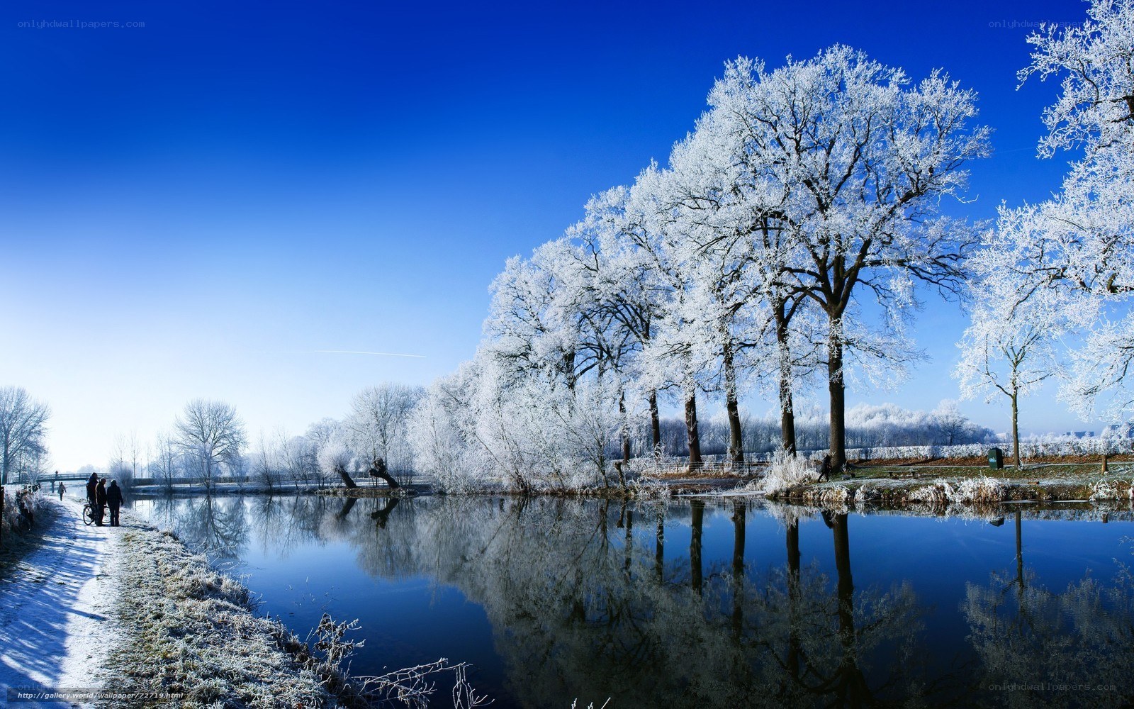 Frosty trees by a canal