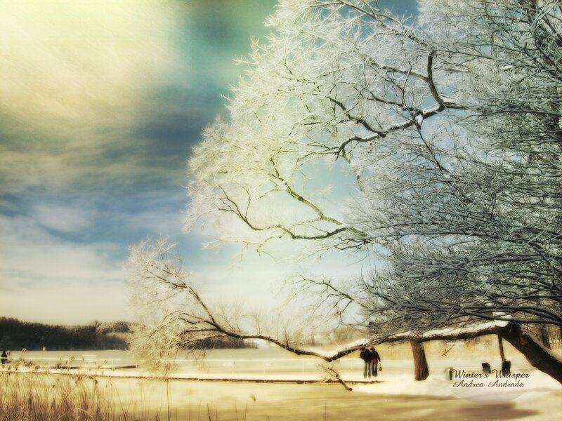 Frosty trees by a frozen lake
