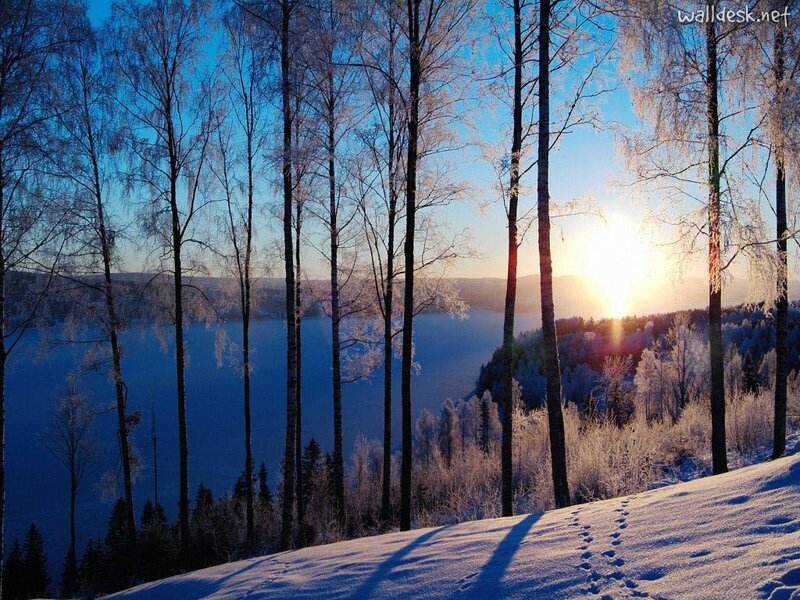 Frosty Trees by Lake — Blue