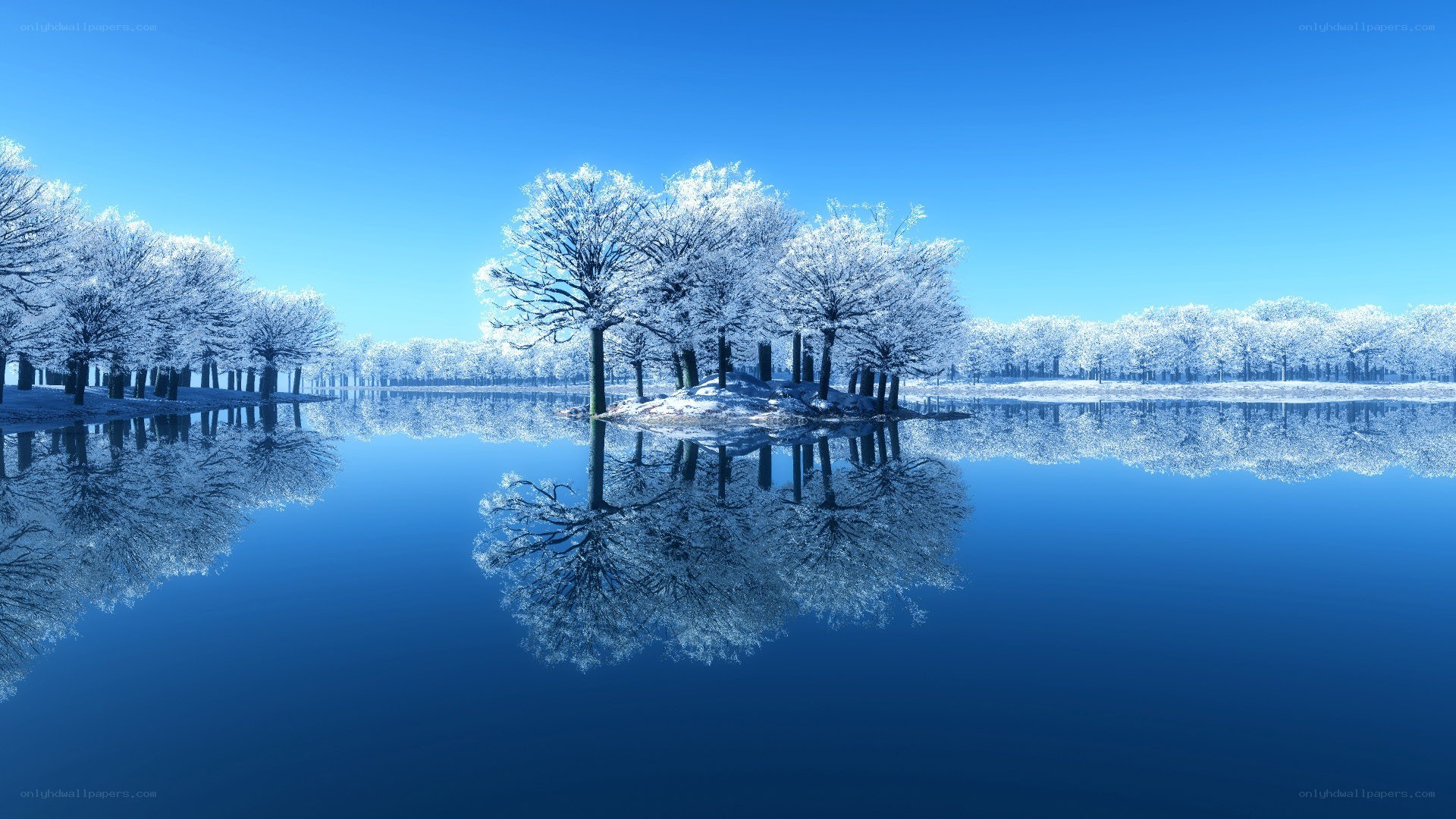 Frosty trees on a calm lake