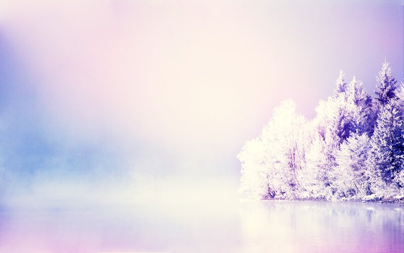 frosty trees on a misty lake