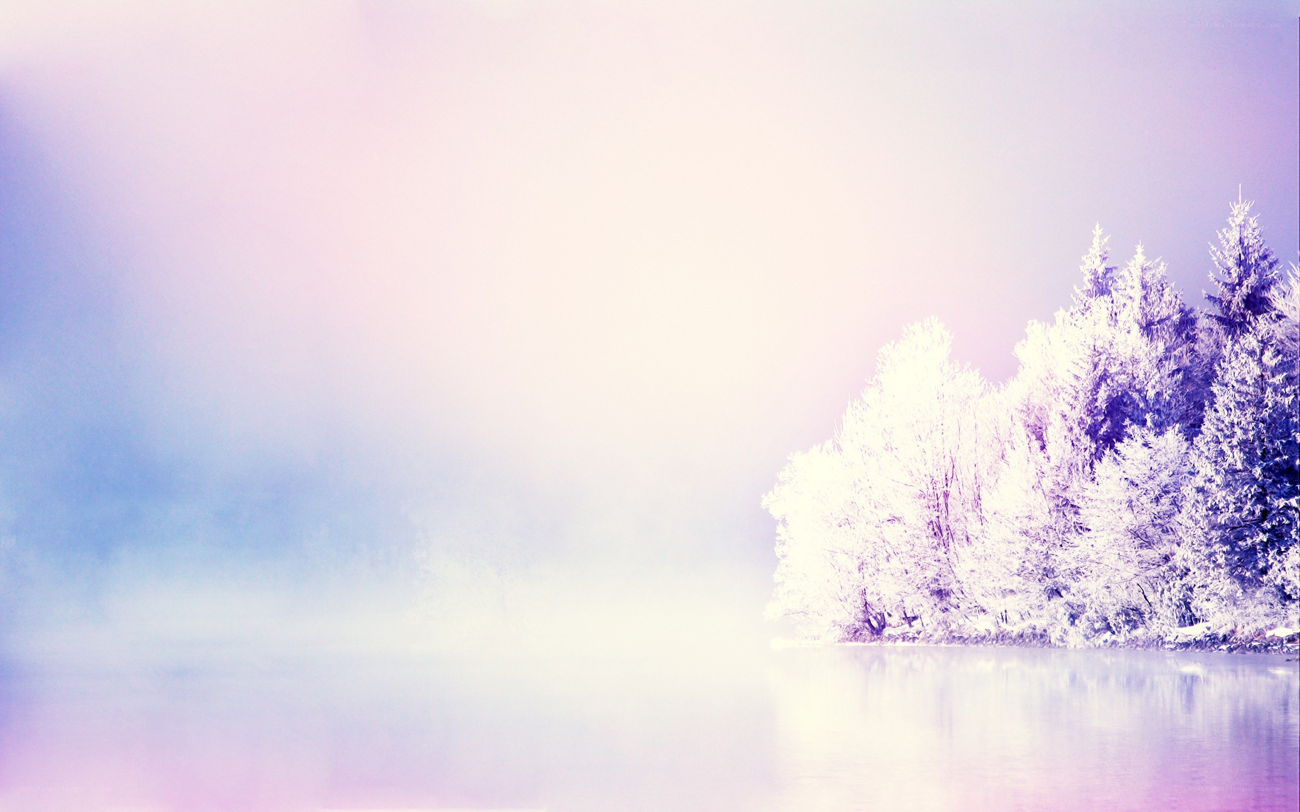 frosty trees on a misty lake
